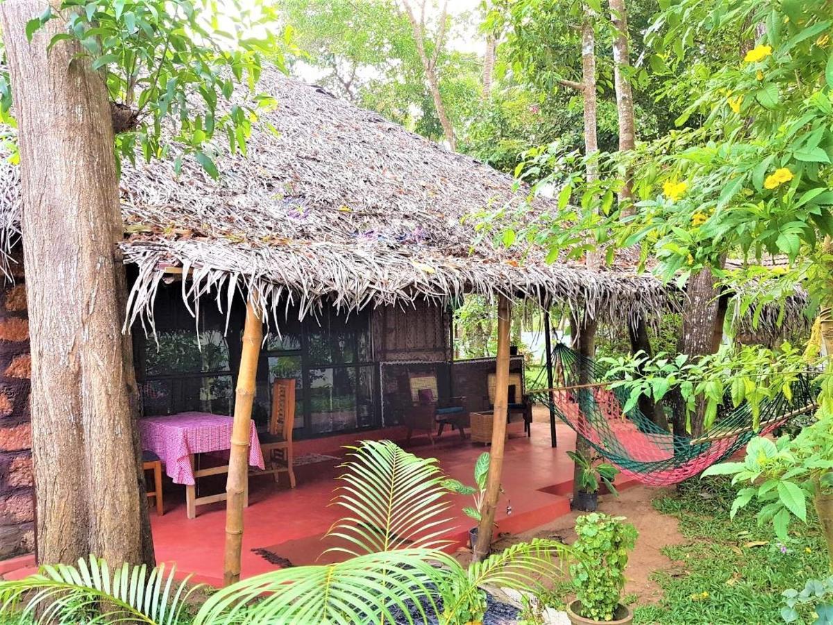 Marari Dreamz Homestay Mararikulam Εξωτερικό φωτογραφία